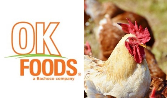▲美國知名雞肉食品商OK Foods。（圖／翻攝Twitter@okfoods、免費圖庫pixabay）
