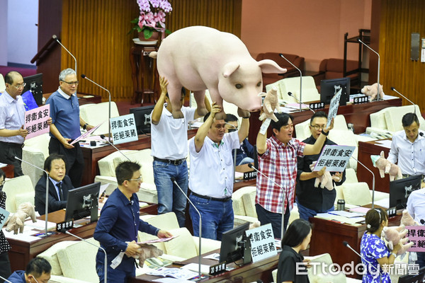 ▲台北市議會開議，國民黨議員準備大豬公要求柯文哲針對美豬議題簽署表態。（圖／記者林敬旻攝）