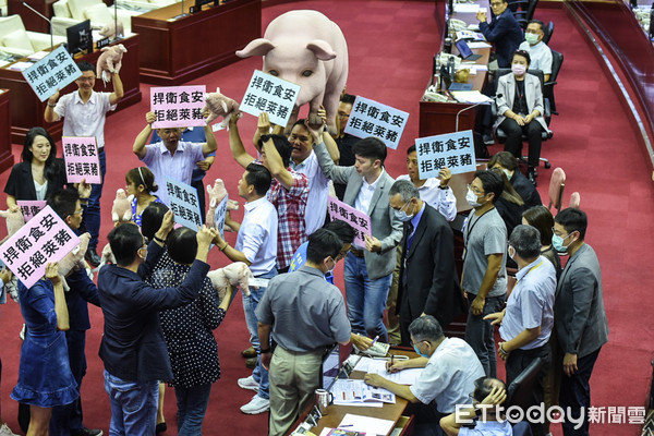 ▲台北市議會開議，國民黨議員準備大豬公要求柯文哲針對美豬議題簽署表態。（圖／記者林敬旻攝）