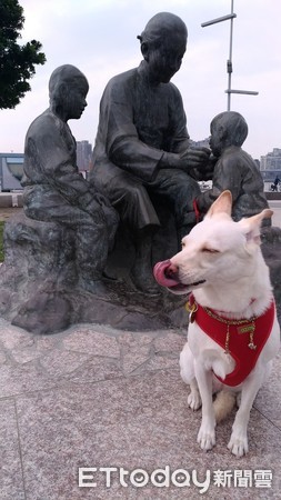 狗狗豆花超愛吃藥。（圖／飼主陳筱靜提供）