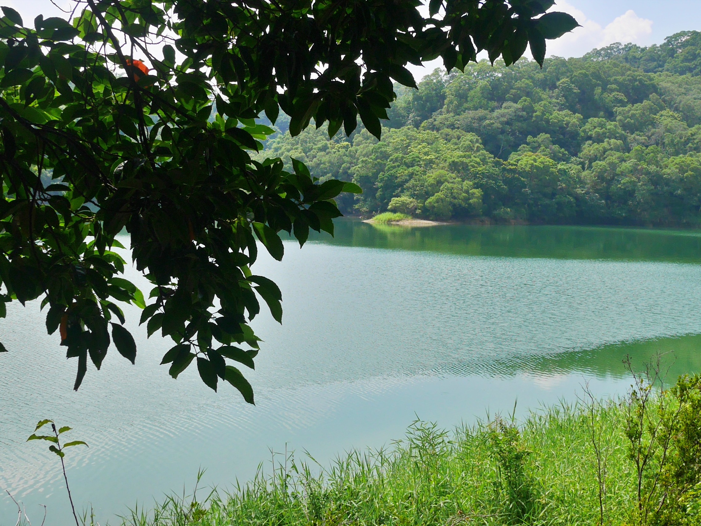 ▲寶山水庫,沙湖壢藝術村,沙湖壢咖啡廳,新竹。（圖／記者彭懷玉攝）