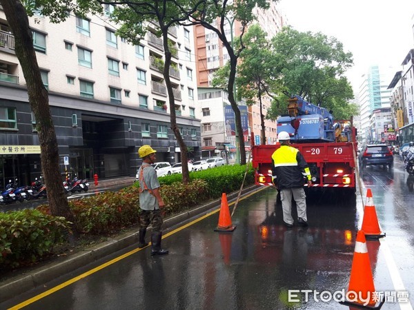 ▲9月21日國家防災日 新北「路樹修剪」防災重要一環。（圖／新北市景觀處提供）