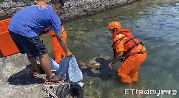 ▲海巡署第5岸巡隊人員將受困海龜以濕布保濕後送治療。             。（圖／記者陳崑福翻攝）