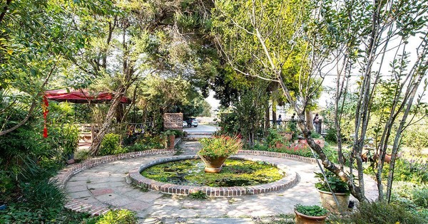 ▲▼雅植歐洲香草園。（圖／饗食客棧。淘氣猴vs肥獅子的旅食天堂提供，以下皆同，請勿隨意翻拍以免侵權）