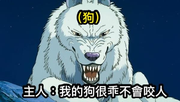 齜牙白狼 很乖不咬人 獸醫院po 吉卜力梗圖 太寫實 Ettoday寵物雲 Ettoday新聞雲