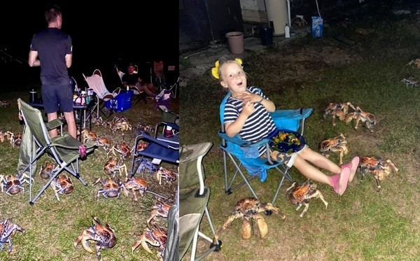 烤肉味太香引來「強盜軍團」　一家人露營慘被52隻異形巨蟹包圍！（圖／翻攝自Facebook／Christmas Island Tourism）