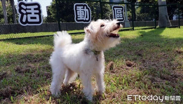 狗公園公民討論會。（圖／台北市動保處提供）