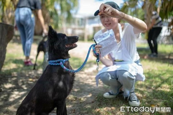 ▲▼寵物雲陪毛孩過中秋！前進防疫所關懷流浪動物。（圖／宜蘭縣流浪動物中途之家提供）