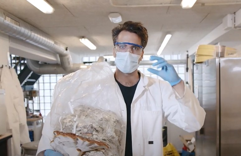 ▲▼荷蘭有公司發明菇類製「環保棺材」，讓人死後成大自然的養份。（圖／取自Loop官網）