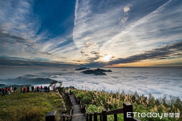 ▲二延平步道列隙頂三寶之一 (茶園步道、雲瀑雲海、夕照)，大凍山步道可享受舒心的竹、杉林雙重森林浴。（圖／雄獅旅遊提供）