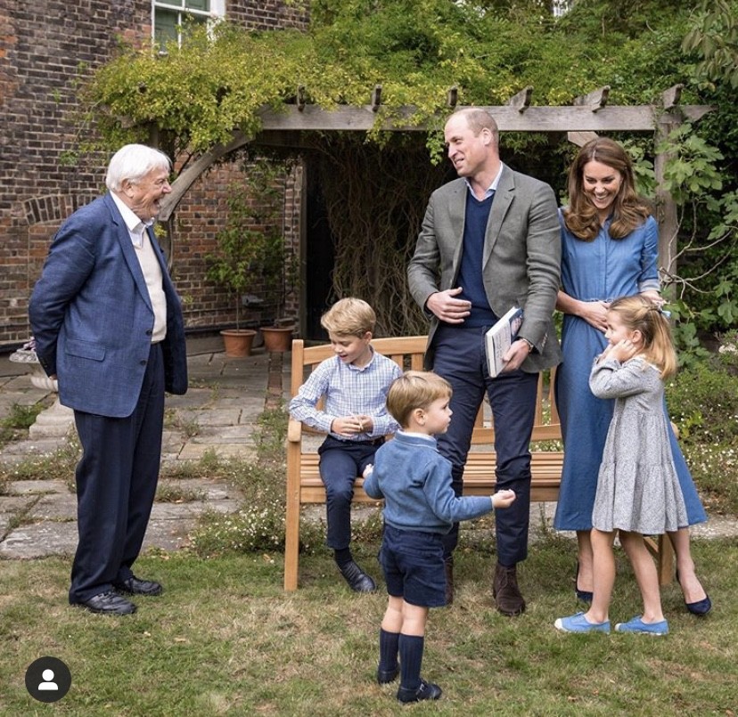 ▲▼ 威廉王子一家五口           。（圖／翻攝kensingtonroyal IG）