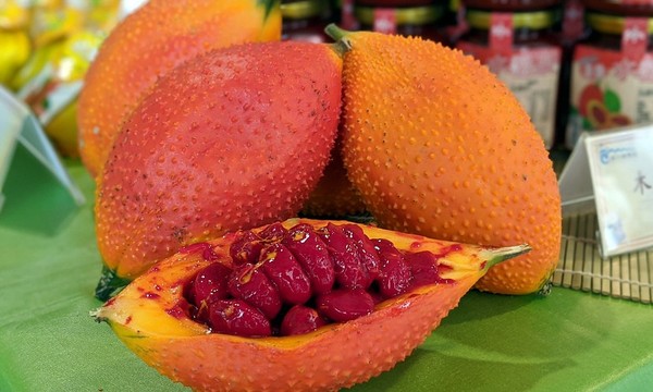 天堂果實「木虌果」 茄紅素是番茄的25倍 專家曝最營養部位