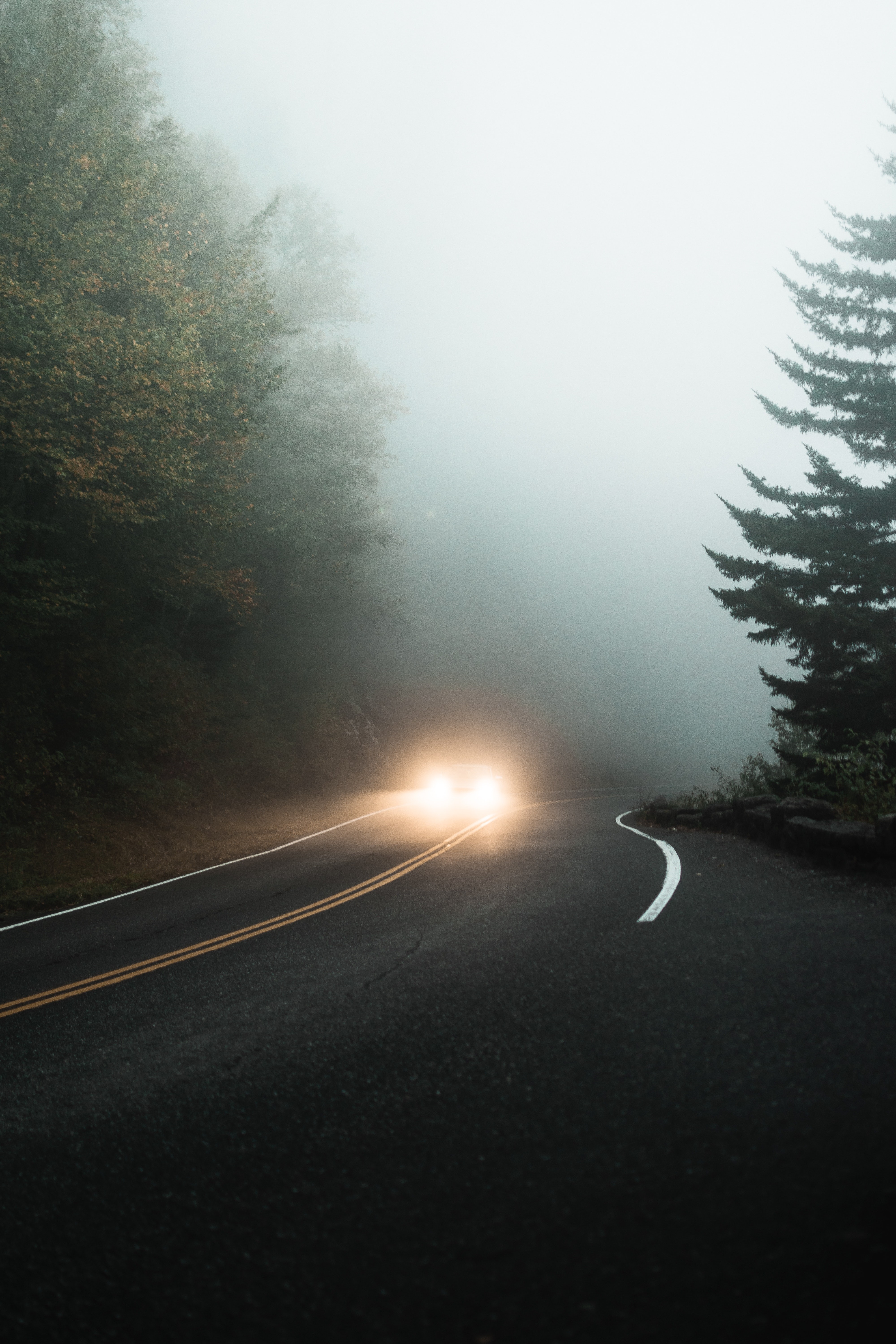 ▲開車,濃霧,山（示意圖／取自免費圖庫Pexels）