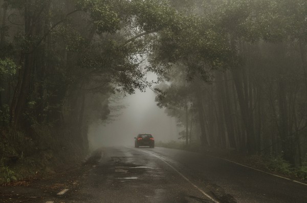 ▲開車,濃霧,山（示意圖／取自免費圖庫Pexels）