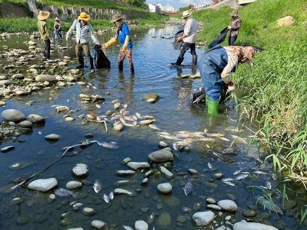 ▲台中河道頻傳死魚，環保局設水盒子監控11處容易出現死魚的熱點。（圖／記者游瓊華翻攝）