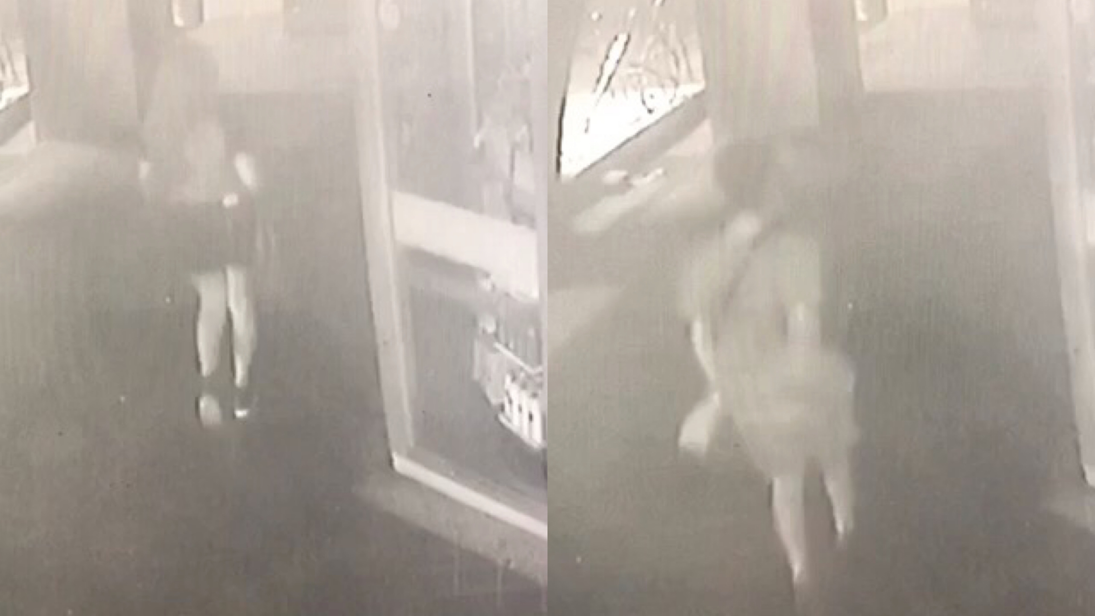 正妹遭尾隨搭訕 躲進麥當勞 畫面曝 怪男繼續跟 基隆警在查了 Ettoday社會新聞 Ettoday新聞雲
