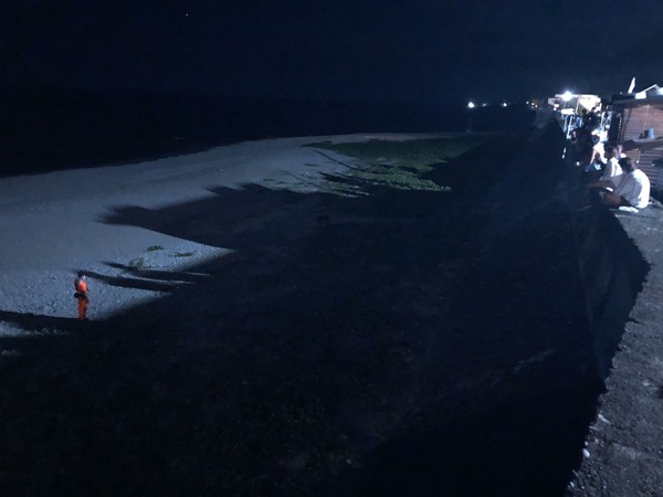 ▲蘭嶼驚現綠蠵龜上岸產卵　海巡超暖心「深夜全程守護」。（圖／海巡署提供）