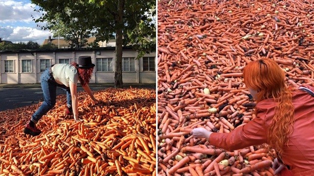 ▲▼倫敦大學學生倒「24萬根紅蘿蔔」當藝術裝置。（圖／翻攝自Instagram／@goldsmithscarrots）