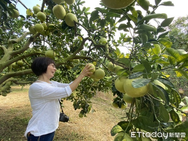 ▲山富果園。（圖／記者陳涵茵攝）