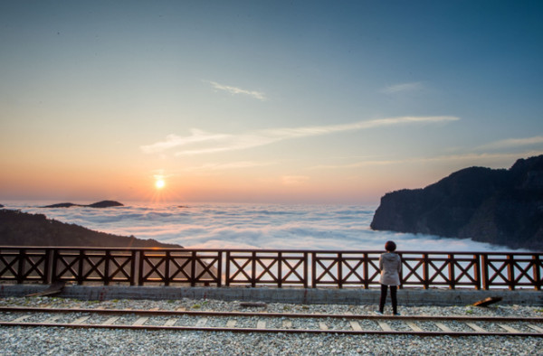 ▲▼阿里山二萬坪(日景)雲海。（圖／嘉義縣政府提供）