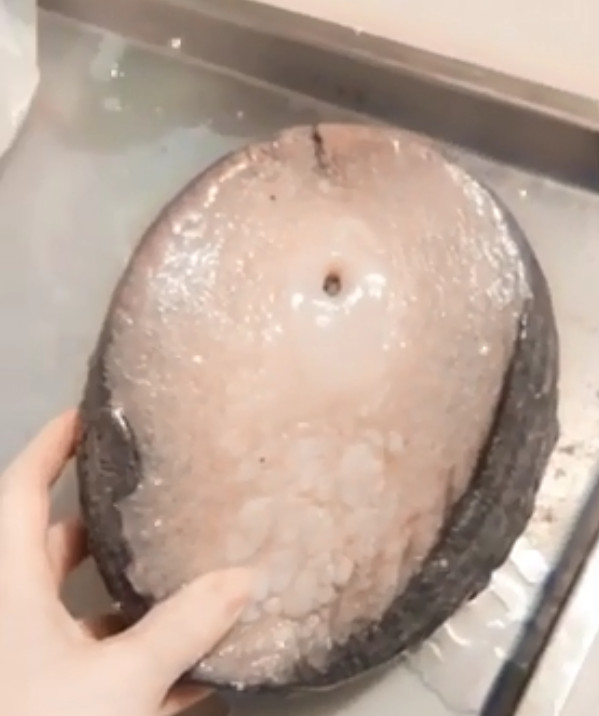 ▲一早突傳大鮑魚照！老爸喊「跟妳頭一樣大」　本尊曝光驚呆了。（圖／翻攝自dcard）