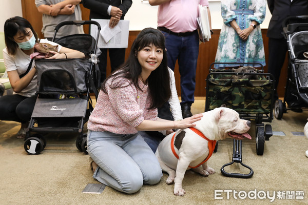 ▲民進黨召集寵物業者、飼主召開「美國惡霸犬：我很醜但我很溫和」記者會，立委高嘉瑜與狗互動。（圖／記者林敬旻攝）