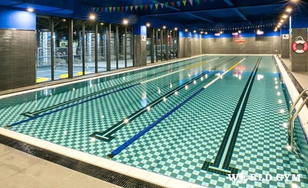 ▲▼World Gym暫停開放游泳池、三溫暖。（圖／翻攝臉書／World Gym）