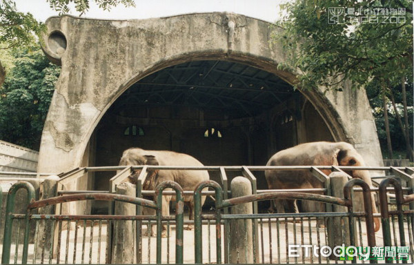 ▲▼台北市立動物園脫逃大盤點。（圖／台北市立動物園提供）