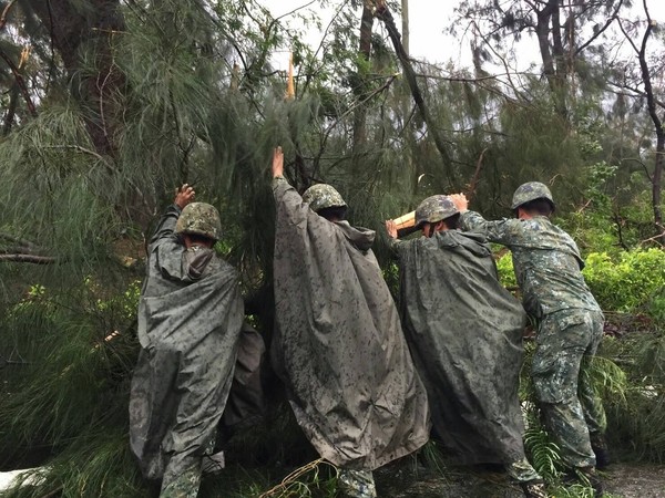 ▲莫蘭蒂風雨漸小，金防部出動280兵力搬樹通道路。（圖／陸軍司令部提供）