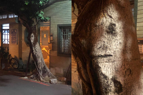網友走在暗巷感覺被猛盯，抬頭發現路邊的樹幹竟然有個「人臉」瞬間嚇壞。（圖／翻攝自新&middot;路上觀察學院臉書）