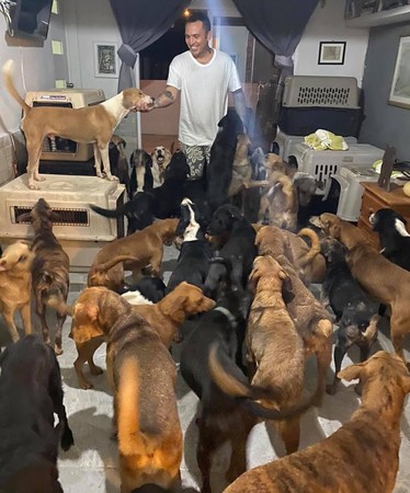 ▲墨西哥坎昆（Cancún）的皮門特爾（Ricardo Pimentel）把收容所300多隻狗狗帶回家躲避颶風。（圖／翻攝自Facebook／Ricardo Pimentel Cordero