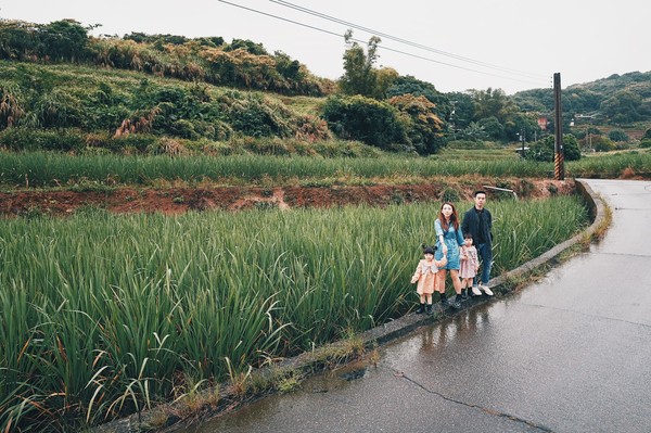 ▲三芝「橫山梯田」、美人樹大道賞花。（圖／新北市景觀處提供）