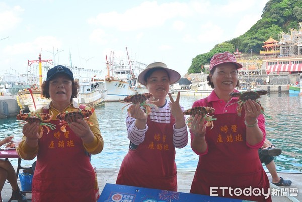 ▲內行人就要在霜降吃螃蟹更肥 「萬里蟹」是漁民乘驚濤駭浪換來。（圖／新北市漁業處提供）