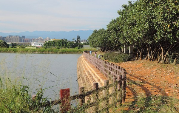 ▲水情嚴峻，桃園1-4號埤塘完成抽水設備。