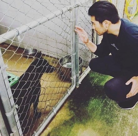 ▲▼高以翔到訪中和動物之家。（圖／翻攝自IG@godfreygao）