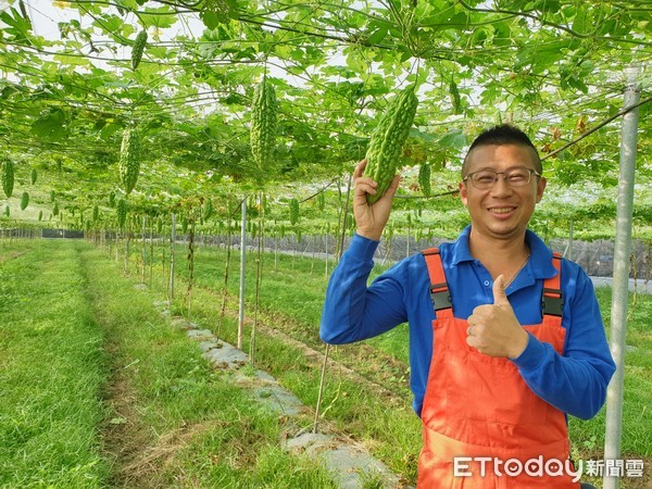 ▲在屏東縣九如鄉種植苦瓜的陳品睿，種植面積從3分地擴增到現在6公頃             。（圖／記者陳崑福翻攝）