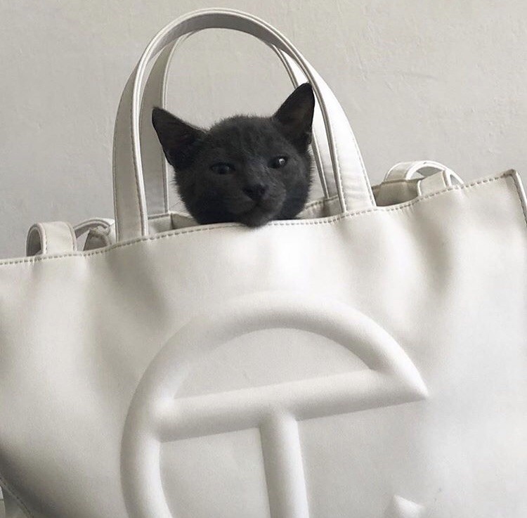 ▲telfar shopping bag 。（圖／翻攝自IG）