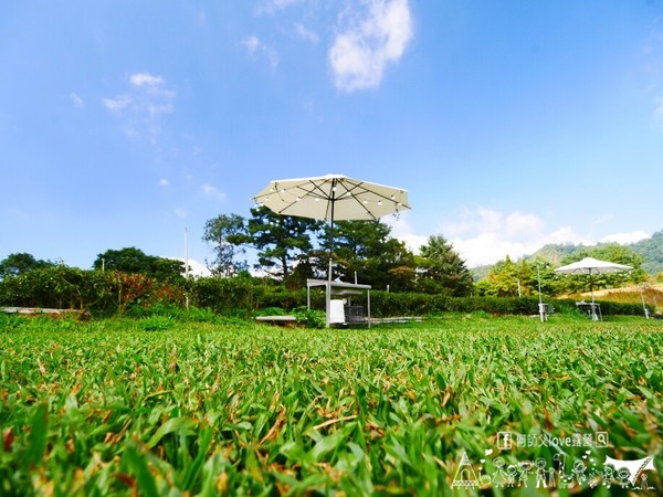 ▲▼八仙山春露茶園。（圖／《何師父love露營》提供，以下皆同，請勿隨意翻拍以免侵權）