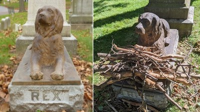 不忍牠寂寞！百年忠犬墓「路人暖放樹枝」致意　堆成小山滿滿愛