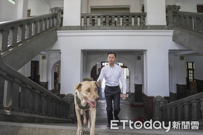 市犬棕棕回收容所 綠議員「是安置不是棄養」網轟:玩文字遊戲