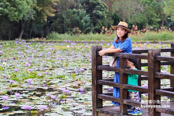 ▲▼蓮城蓮花園。（圖／《小兔小安*旅遊札記》提供）