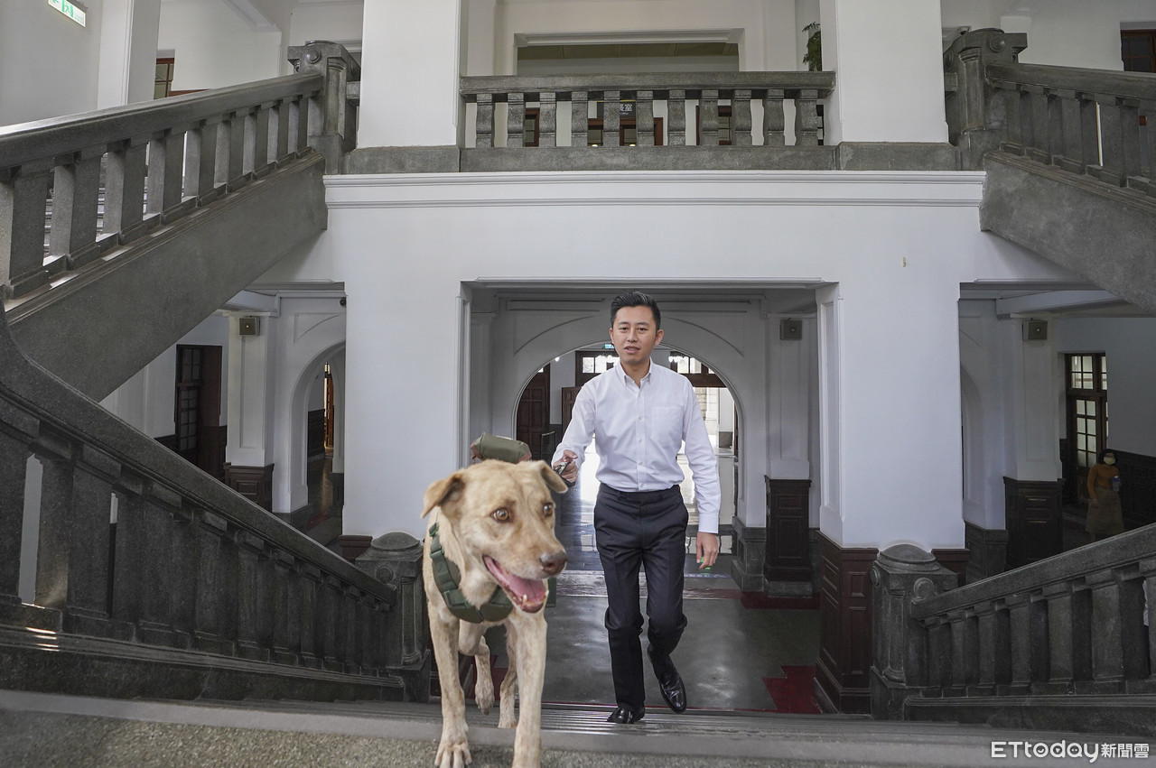 市犬棕棕回收容所　綠議員「是安置不是棄養」網轟：玩文字遊戲