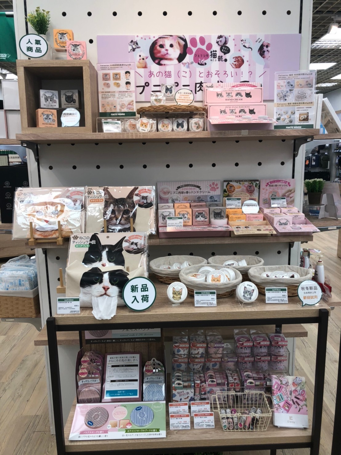 ▲京站Tokyu Hands。（圖／京站提供）