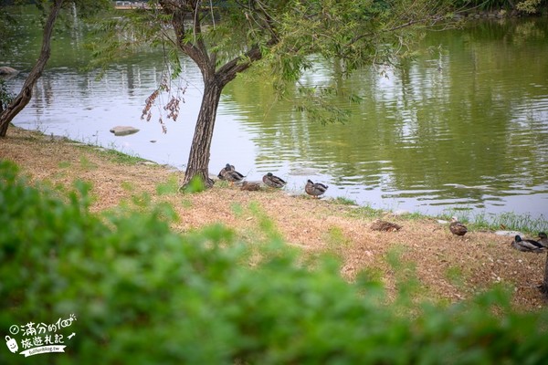 ▲▼溪州公園。（圖／滿分的旅遊札記提供）