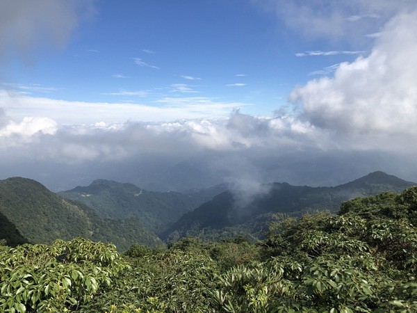 ▲台灣好行東眼山線假日增開4班次