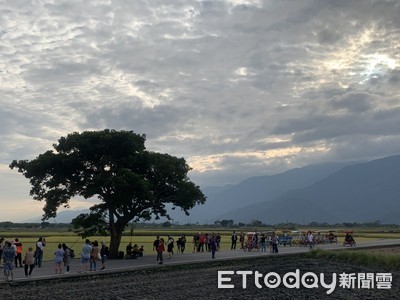 春節台東湧現人潮　伯朗大道和溫泉泡湯景點人最多