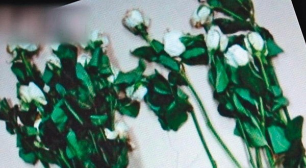 凶手在死者頭七當天，買了20朵白玫瑰，重返命案現場祭拜。（東森新聞提供）