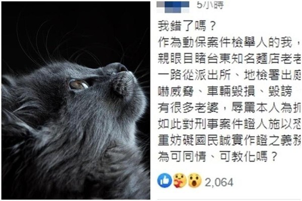 台東知名麵店涉嫌摔貓致死遭起訴，但證人事後遭到一連串對方親友團恐嚇威脅。（翻攝自pexels／台灣動保臉書）