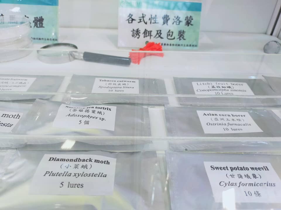 ▲▼台灣首研發秋行軍蟲誘捕器 最快明年6月上市供農民使用。（圖／藥物毒物試驗所提供）