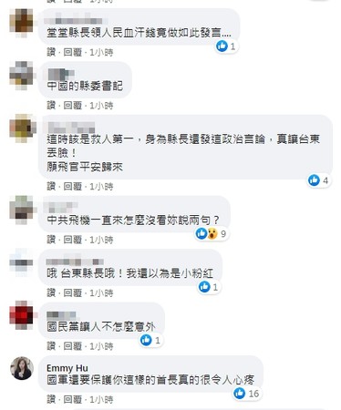 ▼包括胡采蘋在內，不少網友在饒慶齡貼文底下留言批評。（圖／翻攝自Facebook／饒慶齡）